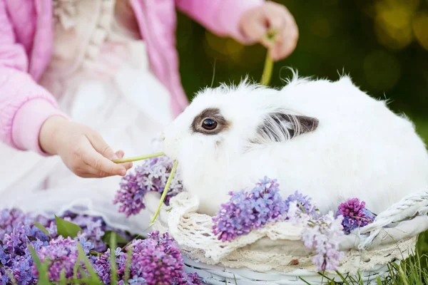Vackra Lilla Tjej Plaing Med Vit Kanin Våren Påsk Tid — Stockfoto