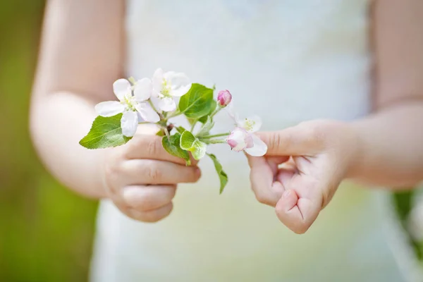 Buquê Flores Maçã Primavera Mãos Meninas Jovens Fundo Verde Fechar — Fotografia de Stock