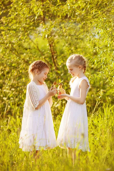 Zwei Kleine Mädchen Bei Sonnenuntergang Mit Entzückenden Entchen — Stockfoto