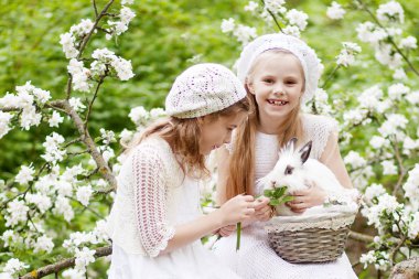 Bahar çiçeği bahçe beyaz tavşan oynayan iki güzel genç kızlar. Bahar eğlenceli aktivite çocuklar için. Paskalya zamanı