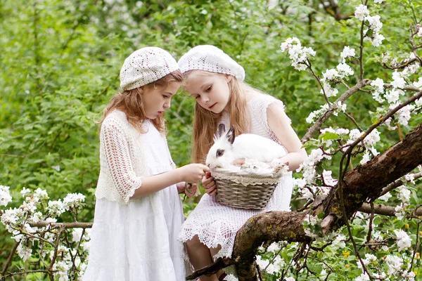 Дві Красиві Молоді Дівчата Грають Білим Кроликом Весняний Квітучий Сад — стокове фото