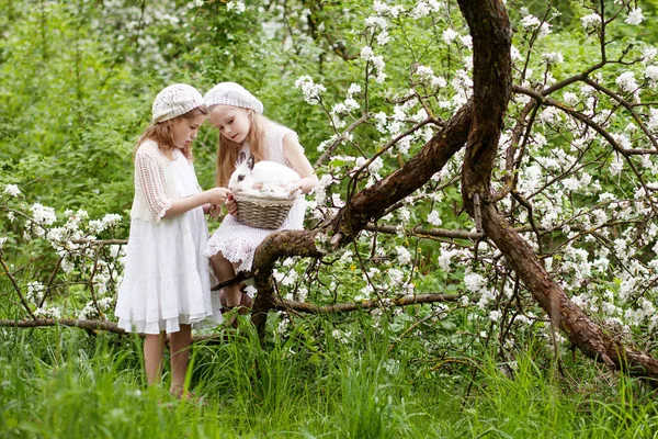 Zwei Schöne Junge Mädchen Die Mit Weißen Kaninchen Frühjahrsblütengarten Spielen — Stockfoto