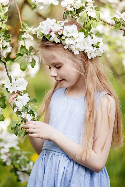 Красива молода дівчина в блакитній сукні в саду з квітучим — стокове фото