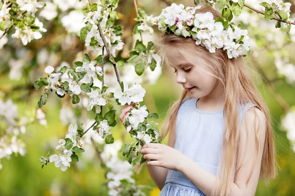 Menina bonita em vestido azul no jardim com florescimento — Fotografia de Stock