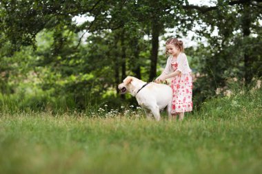 Onu köpek labrador yaz natu bir yürüyüş ile mutlu küçük kız