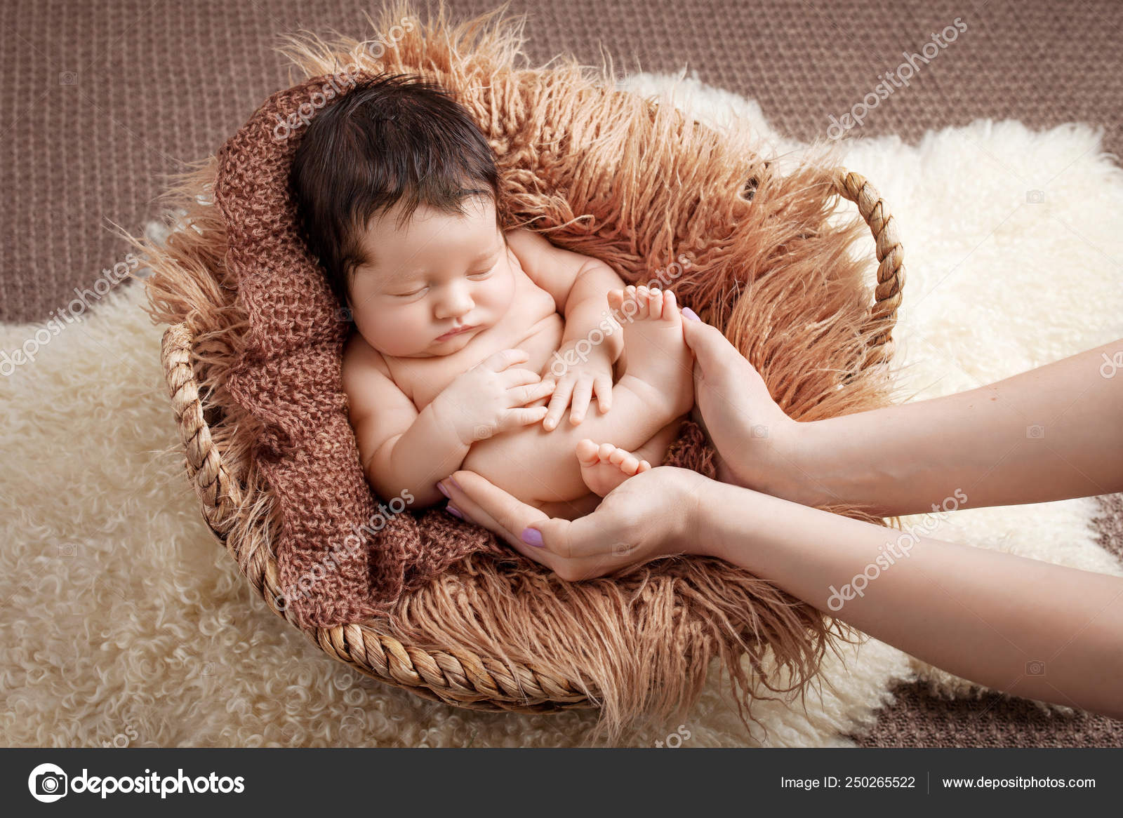 basket newborn