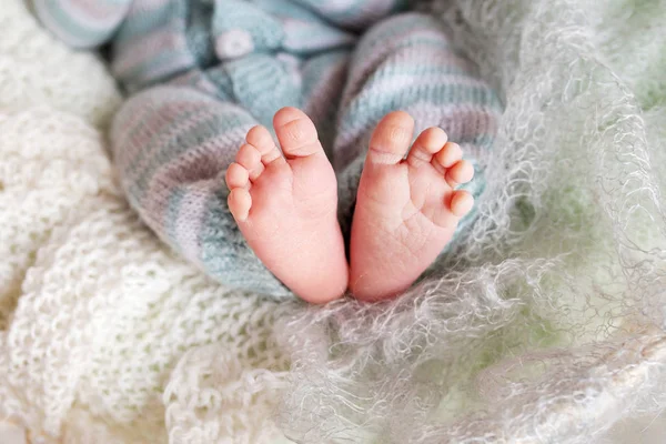 Newborn baby feet on knitted plaid. Closeup picture — Stock Photo, Image