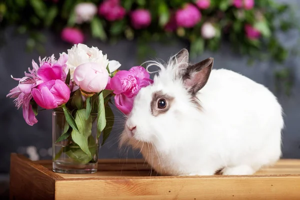 Lapin blanc avec des fleurs printanières sur fond noir. Timbre de Pâques — Photo