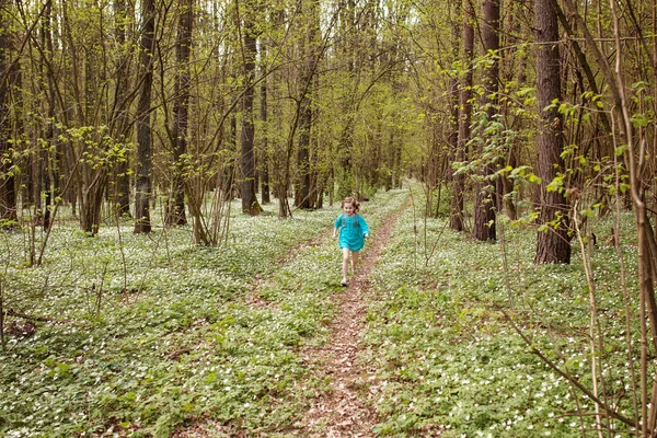 Kleines Mädchen, das ganz allein in einem Park oder Wald spazieren geht. niedlich — Stockfoto