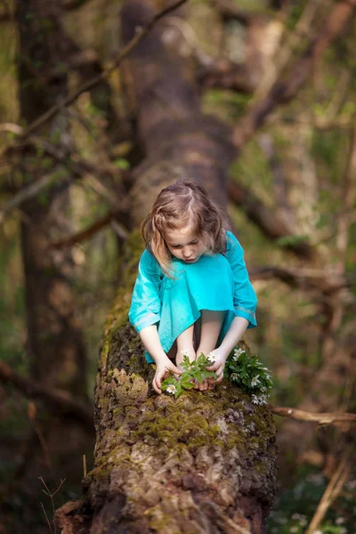 Krásná malá dívka v modrých šatech, procházky v lese na jaře — Stock fotografie