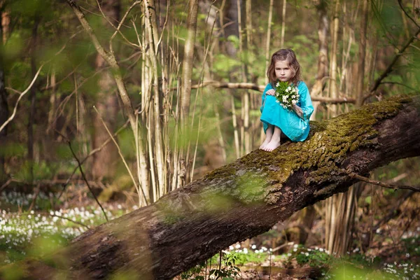 Krásná malá dívka v modrých šatech, procházky v lese na jaře — Stock fotografie