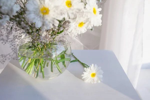 Fiori di camomilla bianca in luce accogliente camera da letto interna. Bianco w — Foto Stock