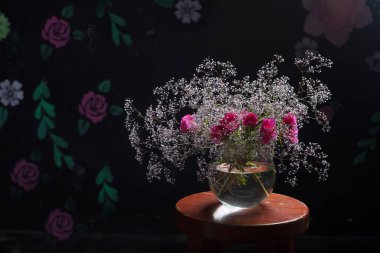 Güzel çiçeklenme, yumuşak aydınlatılmış hala yaşam yıllık Gypsophila ve Pi
