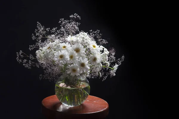 Mooie bloei, zacht verlicht stilleven jaarlijkse Gypsophila en WH — Stockfoto