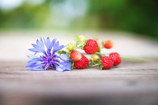 Ramo de fresas silvestres y flores. Alimento natural saludable . — Foto de Stock
