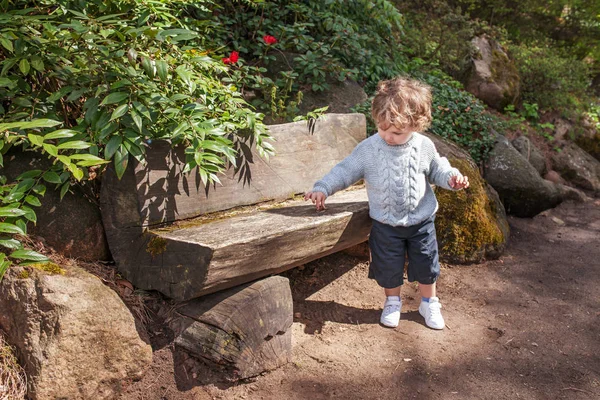 Kleiner Junge spielt im Park — Stockfoto