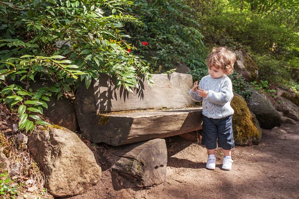 Kleiner Junge spielt im Park — Stockfoto