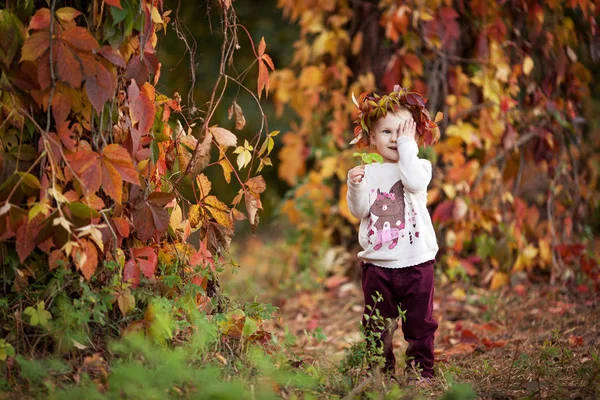 少女の秋の肖像画赤いグラとかわいい女の子 — ストック写真