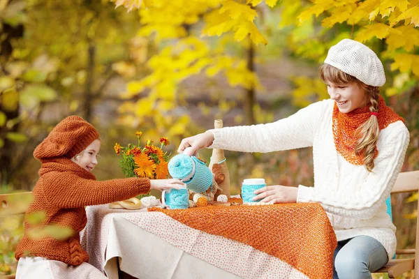 Sonbahar parkında pikniğe iki sevimli kız kardeş. Sevimli küçük kız