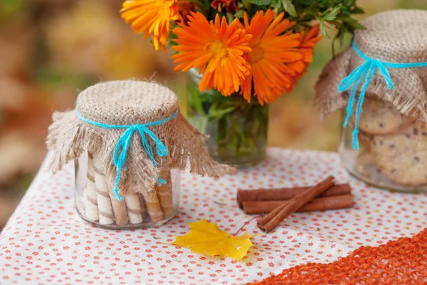 Mesa preparada para el almuerzo en otoño naturaleza, picnic. Picn al aire libre —  Fotos de Stock