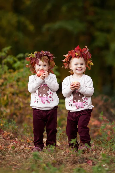 Vackra små tvillingflickor som håller äpplen i höst trädgården — Stockfoto