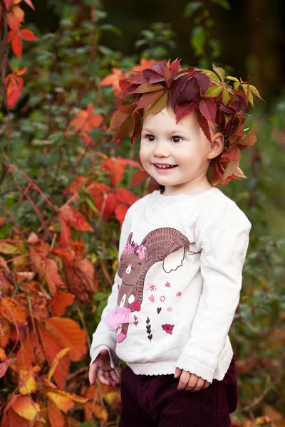 Autumn emotional portrait of little  girl. Pretty little girl wi — Stock Photo, Image