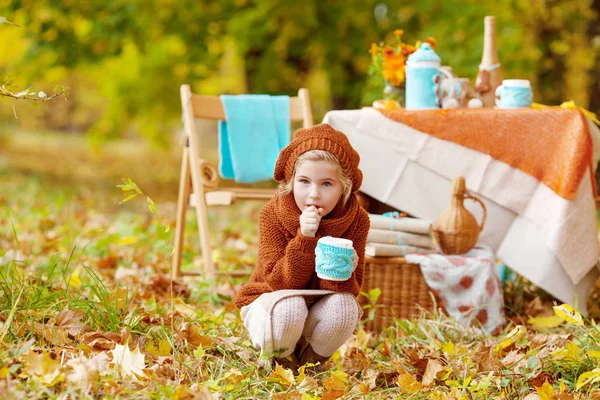 Sonbahar parkında piknikte sevimli küçük kız. Sevimli küçük kız 