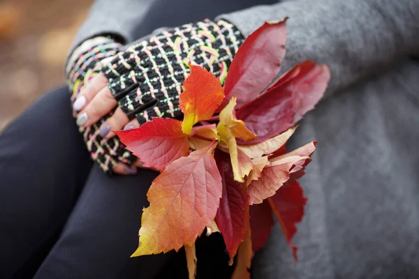 Hora do Outono. Mãos de mulher segurando um buquê de folhas coloridas — Fotografia de Stock