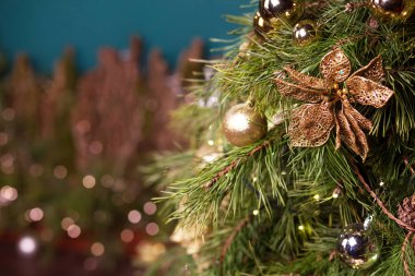 Noel dekoru. Noel dekorasyonu c ile doğal çam dalı