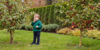 Parkta küçük sevimli bir çocuk. Lovely küçük b yakın çekim