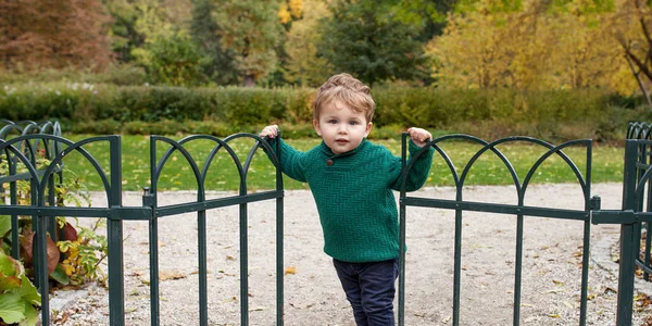 Маленький милый мальчик в парке. Закрыть картину Lovely little b — стоковое фото