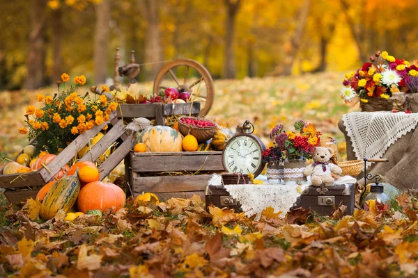 Decoración de otoño en el jardín. Calabazas acostadas en caja de madera sobre autu —  Fotos de Stock