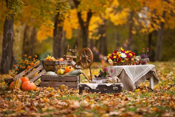 Autumn decor in the garden. Pumpkins lying in wooden box on autu — Stock Photo, Image