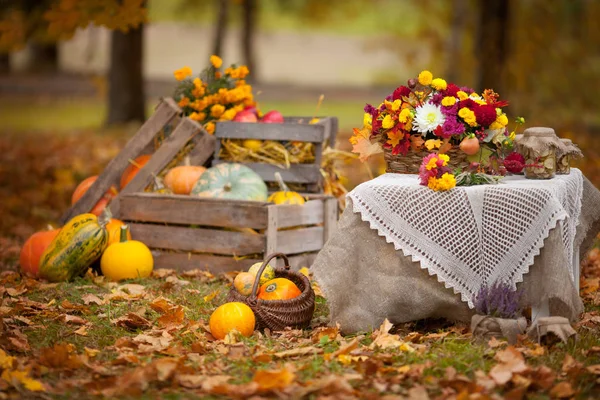 Decoración de otoño en el jardín en estilo rústico. Calabazas acostadas en wo —  Fotos de Stock