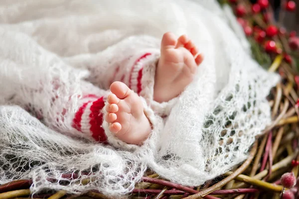 Close up picture of new born baby feet, Christmas time — стоковое фото