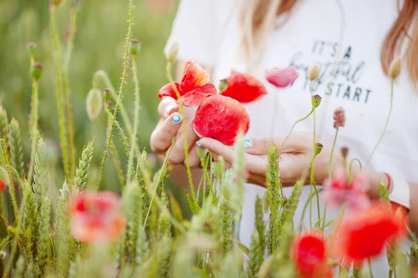 Süßes Mädchen Mit Roten Mohnblumen Den Händen Foto Aus Nächster — Stockfoto