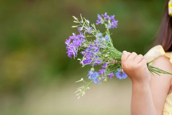 Douce Petite Fille Tenant Bouquet Fleurs Violettes Été Dans Les — Photo