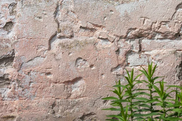 Leere Alte Putzwandtextur Bemalte Grunzige Wandoberfläche Grunge Roter Steinmauer Hintergrund — Stockfoto