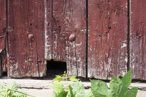 Bordo Legno Graffiato Marrone Scuro Struttura Del Legno Tavola Legno — Foto Stock