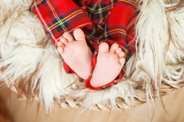 Närbild Nyfödda Barn Fötter Päls Skakig Korg Mjukt Fokus — Stockfoto