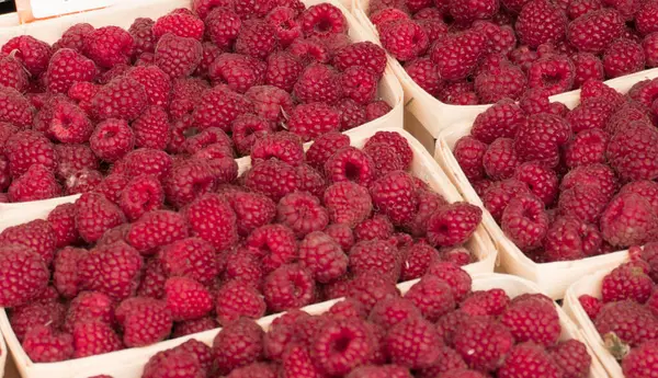 Red raspberries in containers on the market — Stock Photo, Image