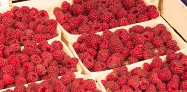 Marketteki kaplarda kırmızı ahududular.