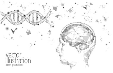 Human brain IQ smart business concept. E-learning nootropic drug supplement DNA medicine neuroscience braingpower. Brainstorm creative idea project work low poly polygonal vector illustration clipart