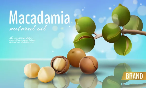 Modèle réaliste d'annonce de coquille cosmétique d'huile de noix de macadamia 3d. Branche laisse en bref. Lumière été ciel ensoleillé soins de beauté. Illustration vectorielle défocalisée de modèle d'affiche détaillée promotionnelle — Image vectorielle