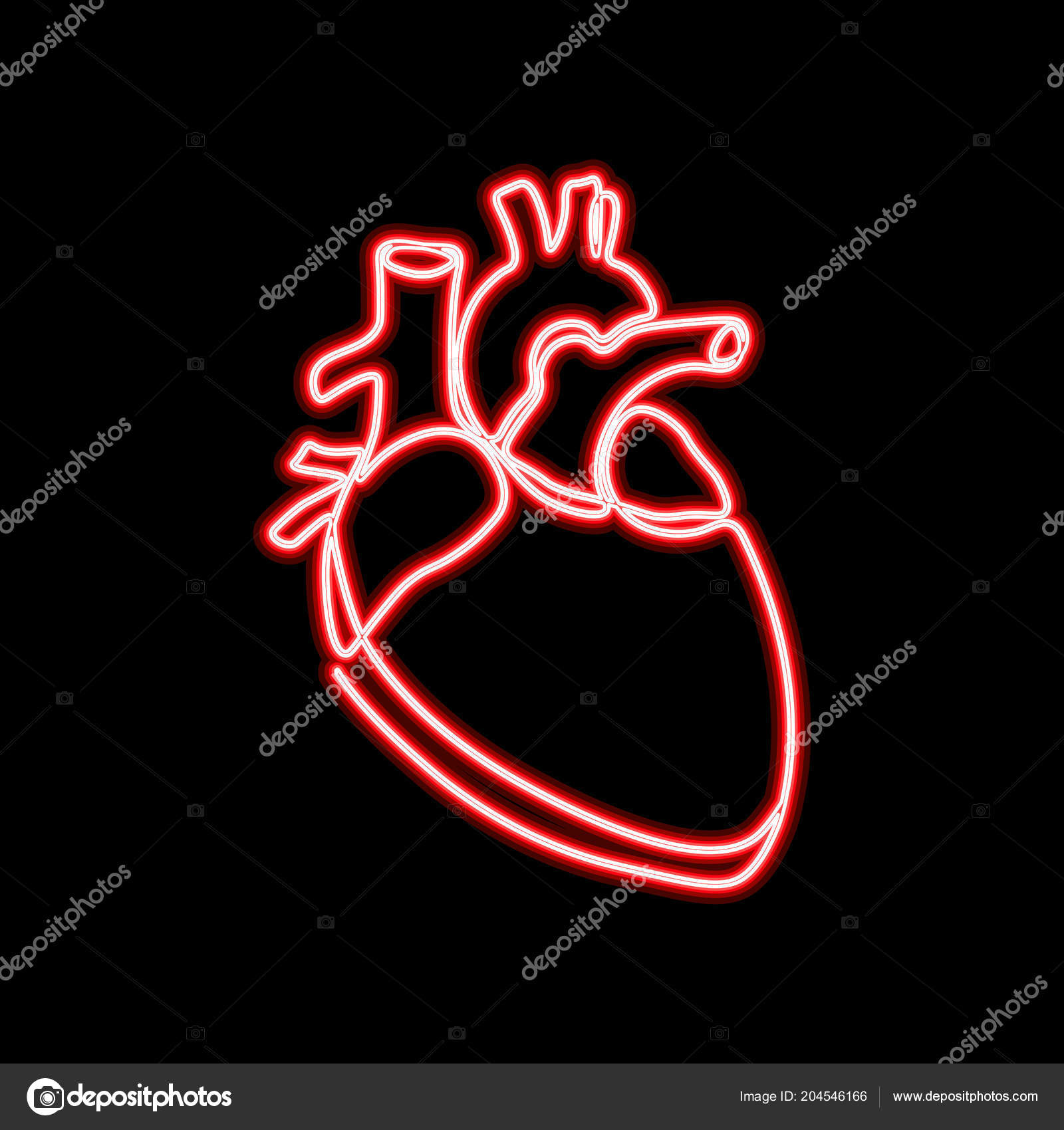 네온 사인 단일 연속 라인 예술 해부학 인간의 심장 실루엣. 건강 의학 개념 디자인 네온 노을 붉은 한 스케치 개요 빛 배너 벡터  일러스트 레이 션 스톡 벡터 - ©LuckyStep48 204546166, image size:1600x1700