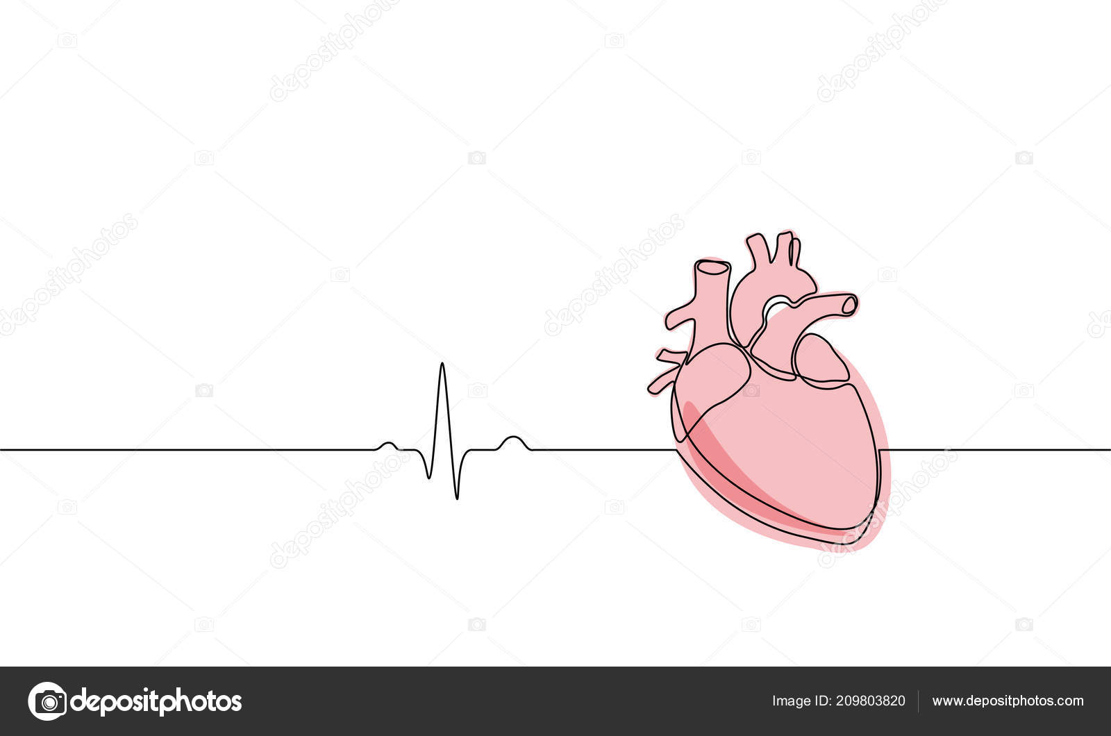 단일 연속 라인 예술 해부학 인간의 심장 실루엣입니다. 건강 의학 개념 디자인 한 스케치 아웃 라인 드로잉 벡터 일러스트 레이 션 스톡  벡터 - ©LuckyStep48 209803820, image size:1600x1060