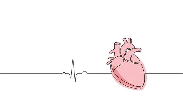 Tek sürekli çizgi sanat anatomik insan kalbi siluet. Sağlıklı tıp kavramı tasarım bir kroki anahat vektör çizim çizim — Stok Vektör
