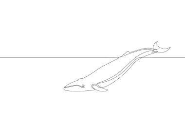 Tek sürekli çizgi sanat deniz balina yüzmek siluet. Doğa Okyanus ekoloji hayat ortamı kavram. Büyük masal deniz dalga tasarım bir kroki Anahat vektör çizim çizim