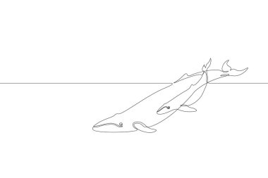 Tek sürekli çizgi sanat deniz balina üst Bebek siluet. Doğa Okyanus ekoloji hayat ortamı kavram. Büyük masal deniz dalga anne hayvan tasarım bir kroki Anahat vektör çizim çizim