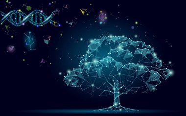 DNA evrim soyut ağaç. Ekoloji doğa gen yenilik teknoloji iş kavramı. GDO gen mühendisliği bitki organik bilim tıbbi araştırma. 3D render yıldızlı uzay vektör çizim